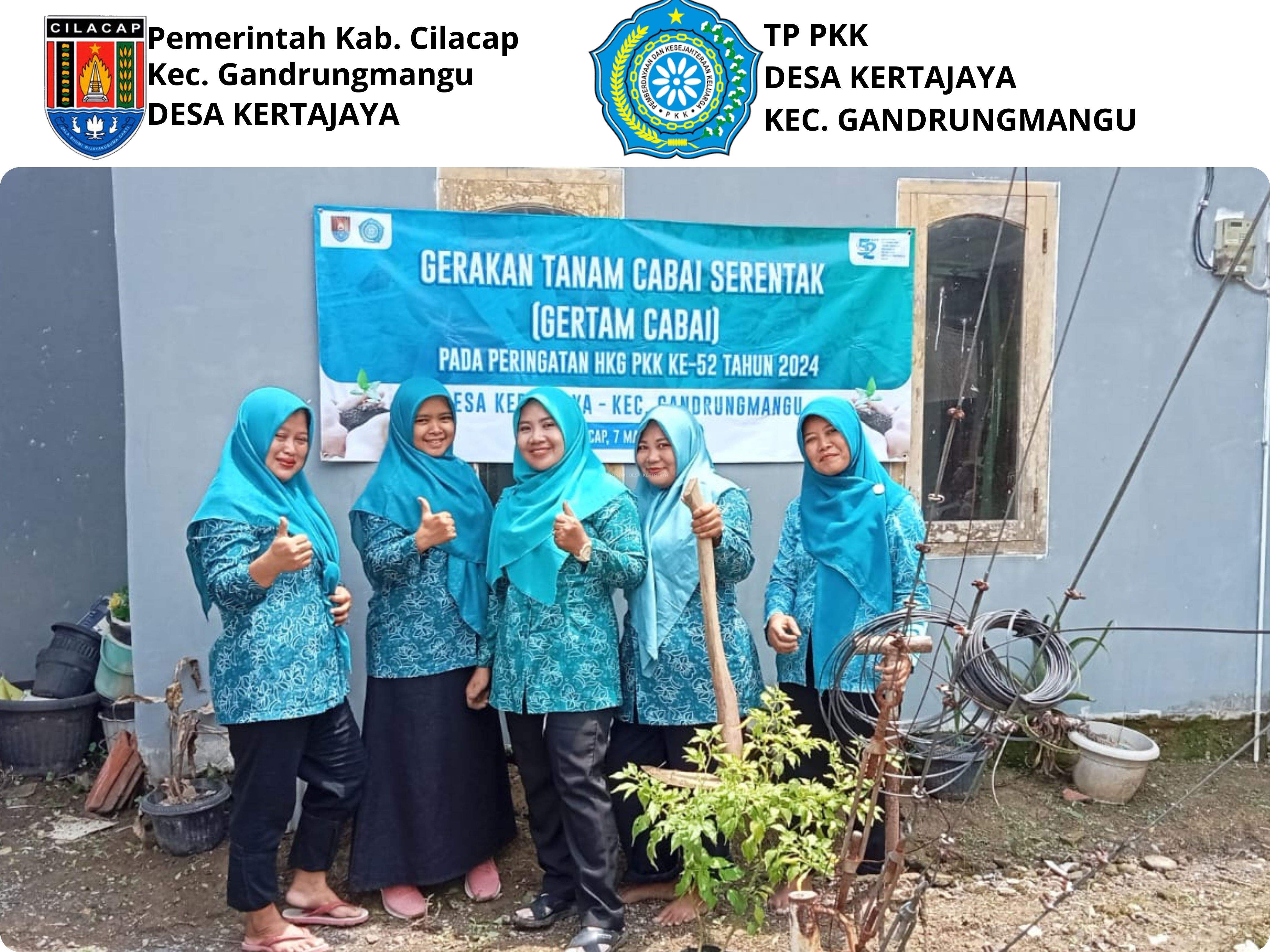 GERAKAN TANAM CABAI SERENTAK OLEH TP PKK DESA KERTAJAYA
